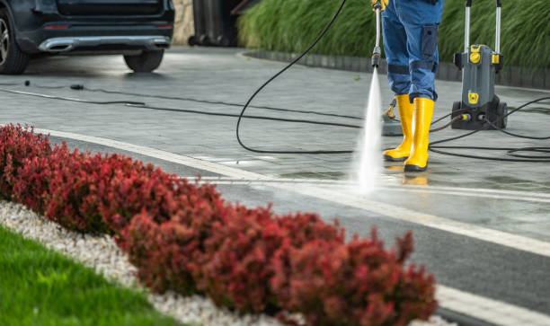 Best Dumpster Area Cleaning  in Parma, OH